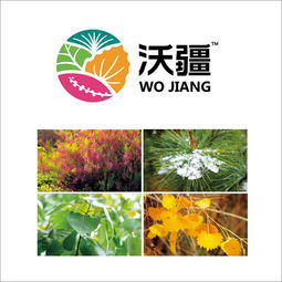 如何選定一個靠譜北京營銷策劃公司｜以福來品牌實戰經驗為例，升級你的全案戰略